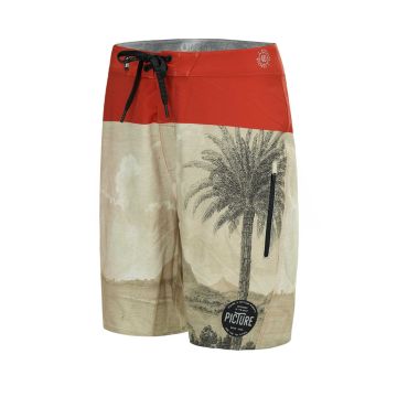 Picture Boardshort CODE 19 C Palmtree Herren 2019 Boardshorts 1